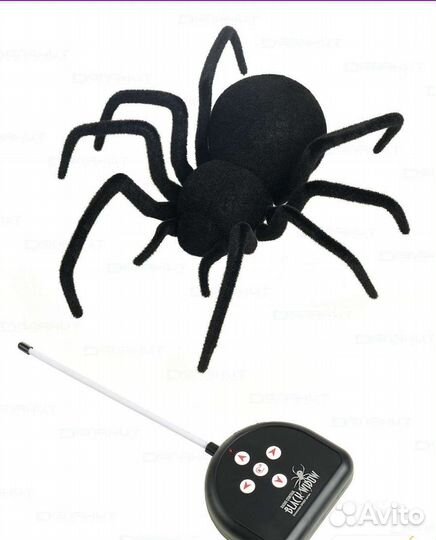 Паук на пульте