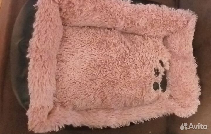 Вещи для собаки или кошки