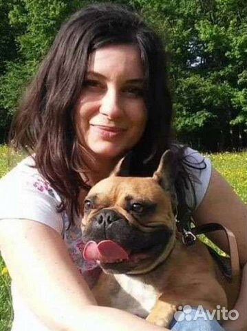 Передержка собак