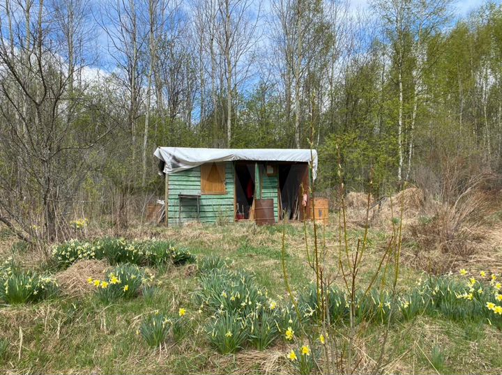 Участок 7,9 сот. (СНТ, ДНП)