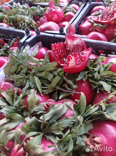 Гранат сладкий