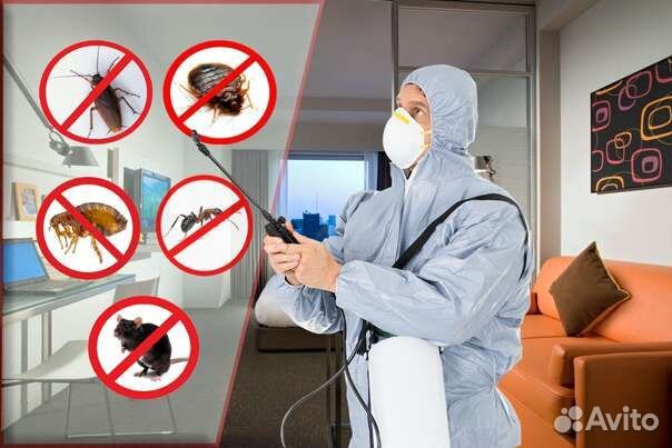 Дезинфекция