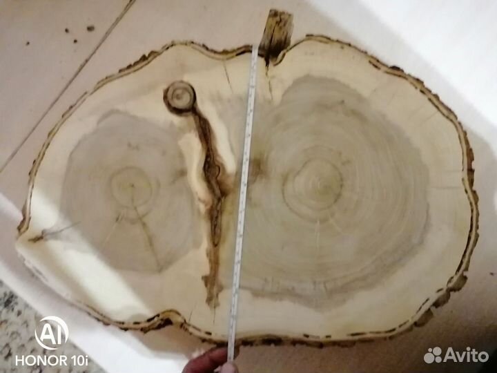 Карагач спил