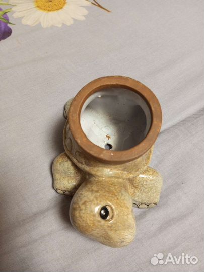 Шкатулка черепаха