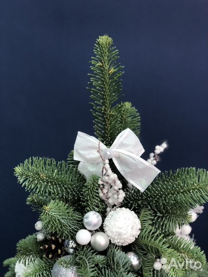 Елка новогодняя живая с доставкой