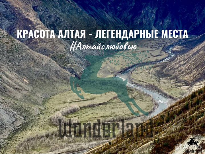 Тур на Алтай с детьми экскурсии по Алтаю