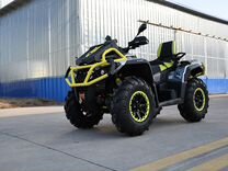 Квадроцикл Aodes Pathcross ATV1000L MUD PRO EPS Ви