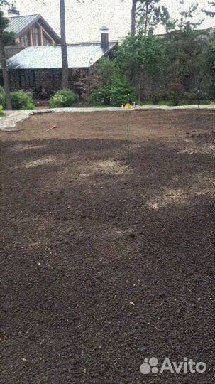 Рулонный газон/продажа/укладка