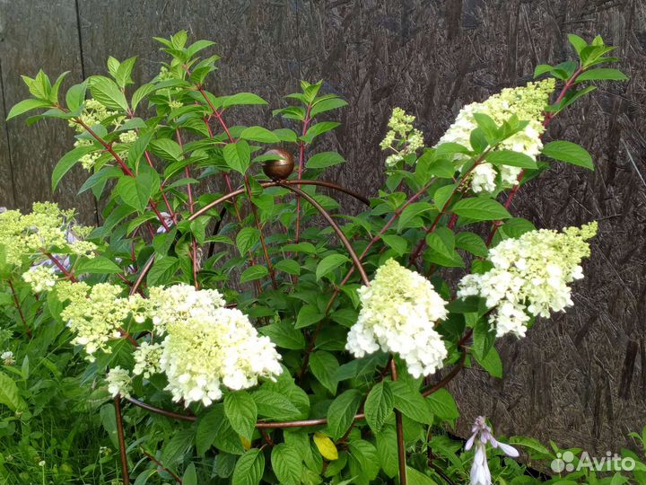 Опора для цветов