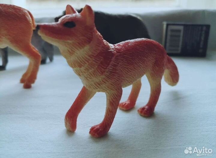 Животные из одной коллекции