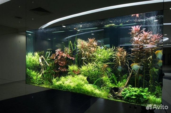 Морской аквариум, пресный аквариум -сервис,услуги