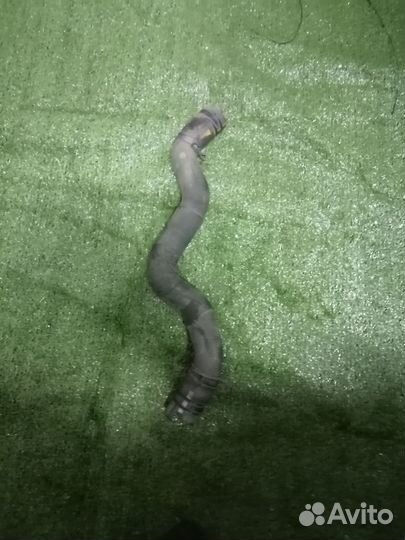 Патрубок охлаждения (радиатора) LFS5-15-186A Mazda