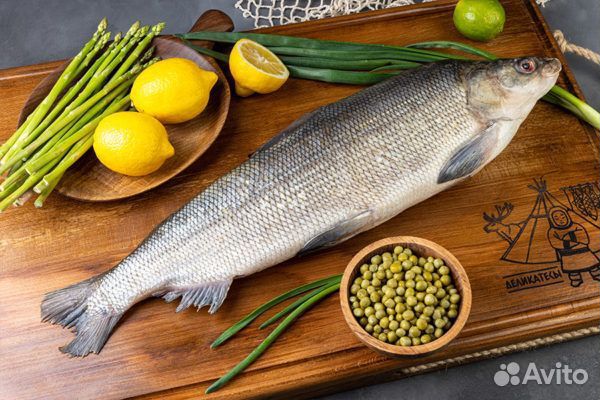 Тушки лососевых рыб непотрошеные свежемороженые