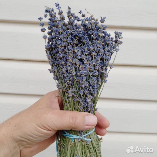 Букет лаванды