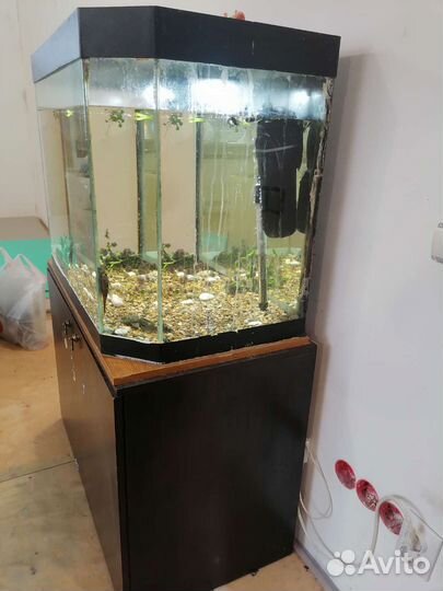 Аквариум 200 литров с тумбой