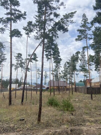 Участок 8 сот. (ИЖС)