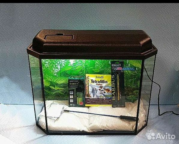 Аквариум под ключ купить в Санкт-Петербурге | Животные и зоотовары | Авито