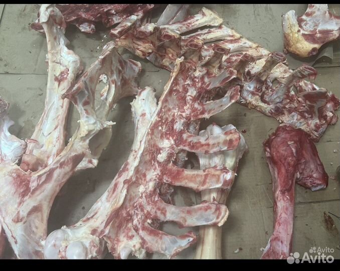 Кости для собак