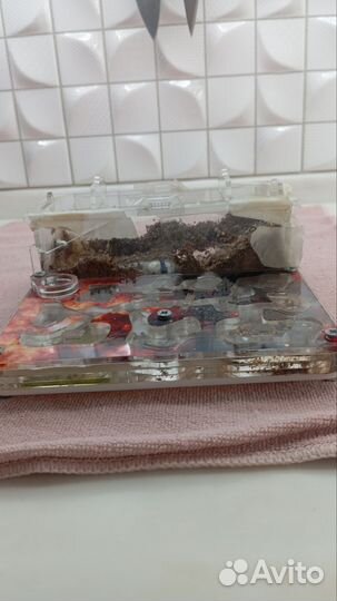 Муравьиная ферма