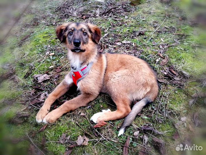 Три девочки 4 месяца