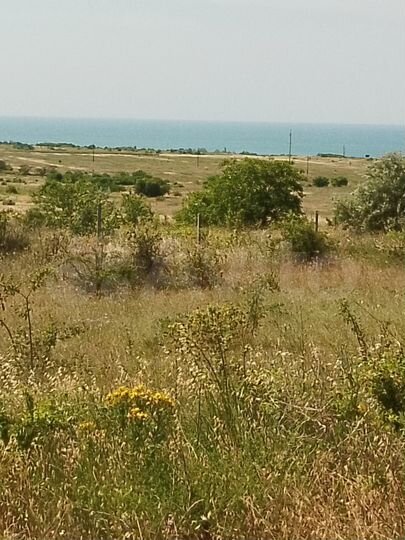 Участок 6 сот. (ИЖС)