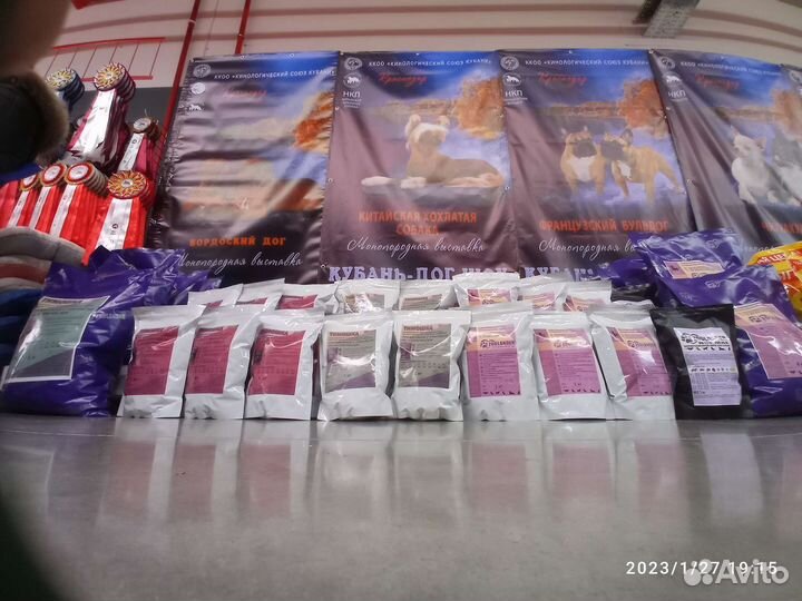 Сухой корм для собак холистик zoolander puppy