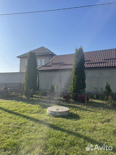 Туя,голубая ель крупномеры