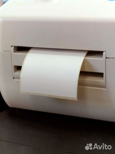 Термоэтикетка 75х120