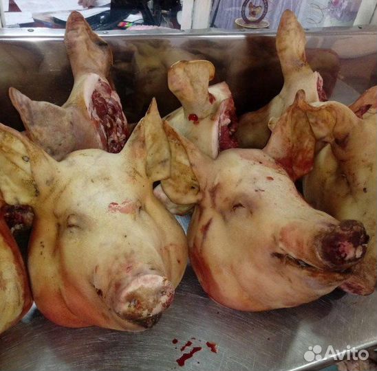 Продам мясо свинины