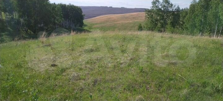 Участок 30 сот. (СНТ, ДНП)