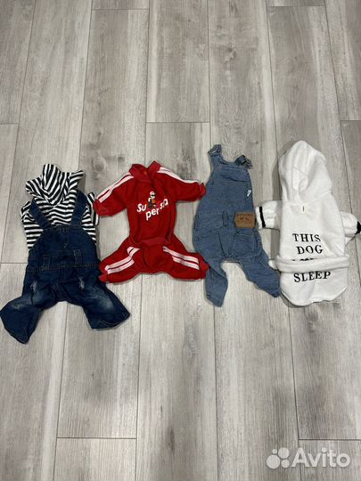 Одежда для собак