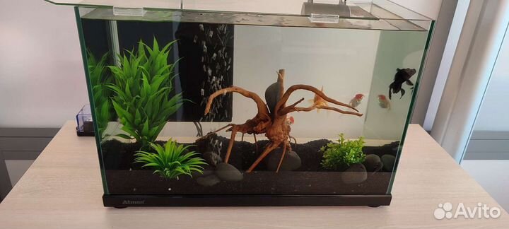 Обслуживание Аквариумов в Москве и Московской обл