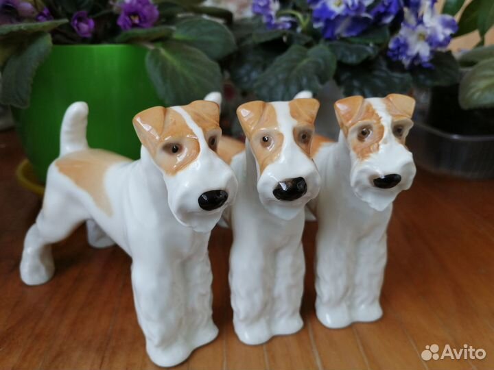 Собака фокстерьер лфз СССР