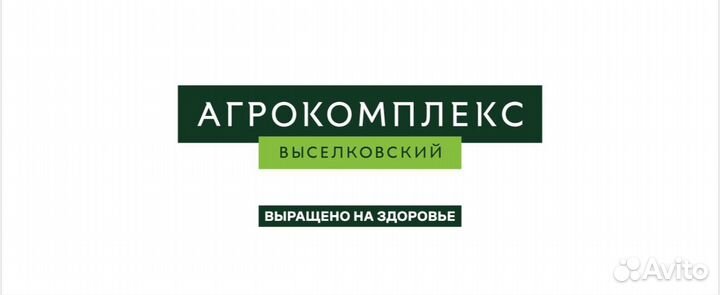 Грузчик (ст. Анапская)