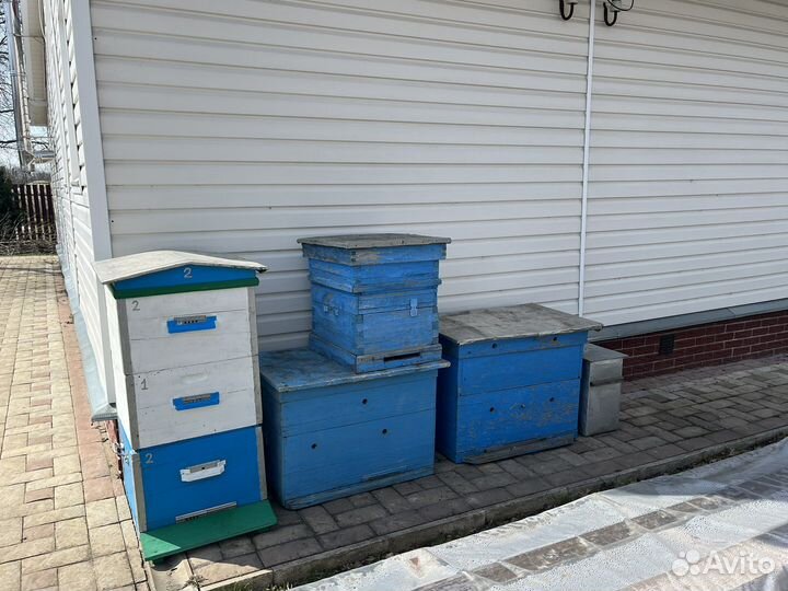 Пасека ульи инвентарь медогонка пчёлы