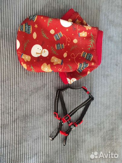 Шлейка для собаки и кофта на флисе