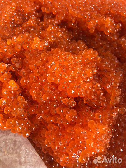 Икра кеты оптом