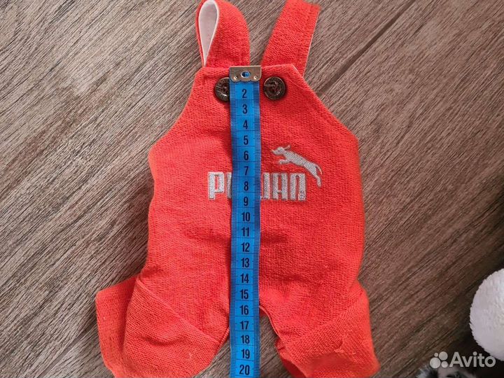 Одежда для собак