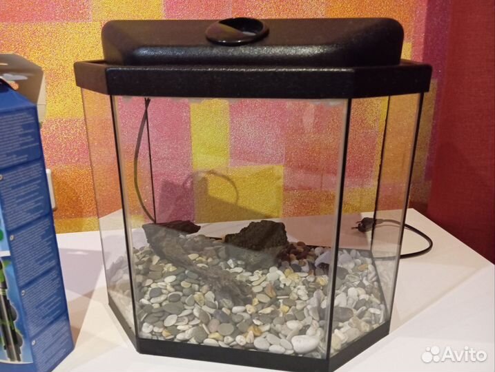 Аквариум с содержимым