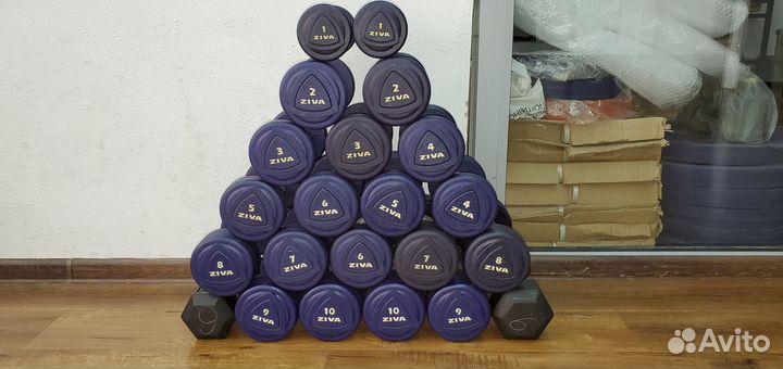 Набор уретановых гантелей Ziva 1-10 кг