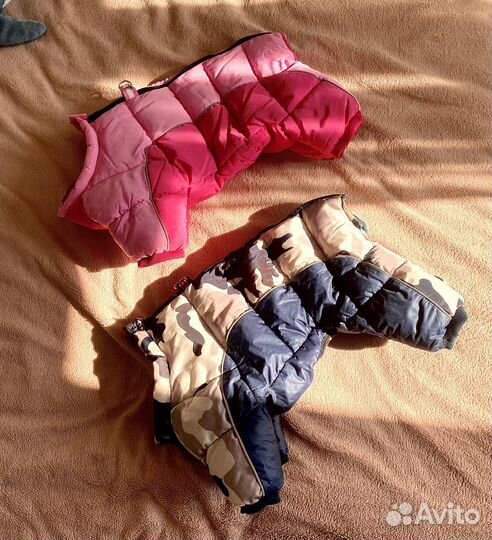 Зимние комбинезоны француз/мопс