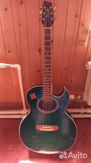 Акустическая гитара trembita
