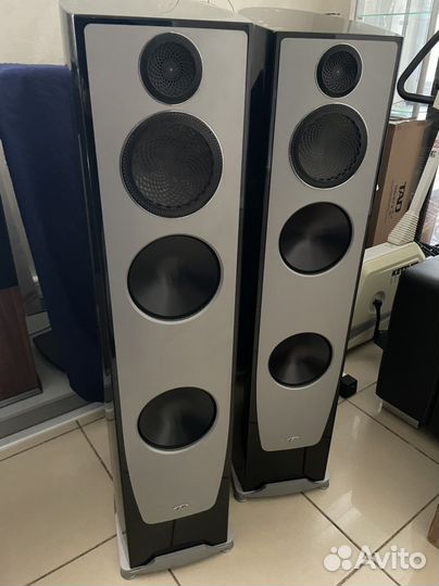 Paradigm Persona 7F Vanta