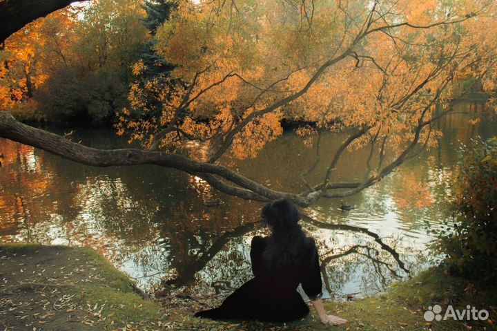 Фотограф/видеограф