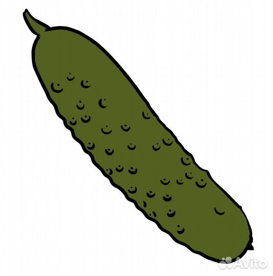 Огурцы соленые бочковые