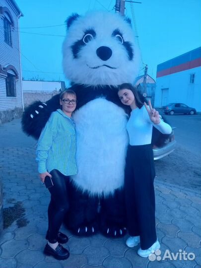 Аниматор, ростовая кукла Панда