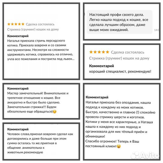 Стрижка / Экспресс-линька кошек с выездом