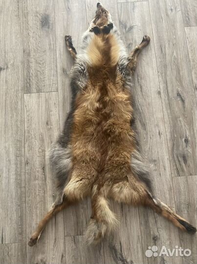 Шкуры лисы