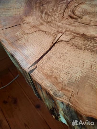 Поперечные спилы ясеня и дуба