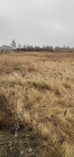 Участок 10 сот. (СНТ, ДНП)